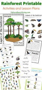 the best rainforest printable activities for kids natural beach living