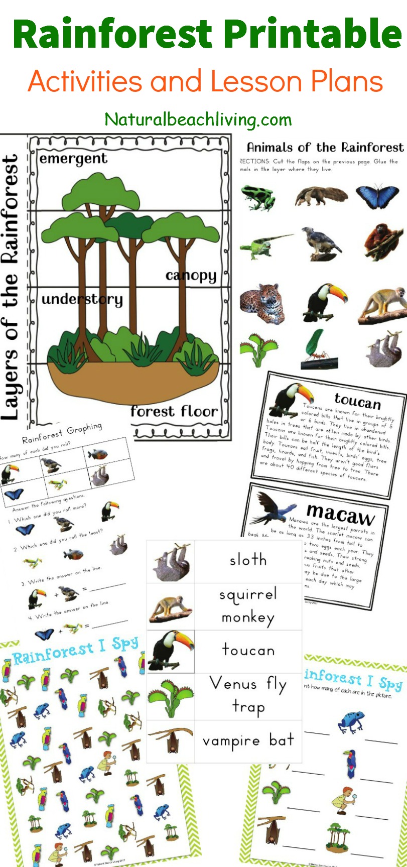 Free Animals Of The Amazon Rain Forest Printables Homeschool Giveaways