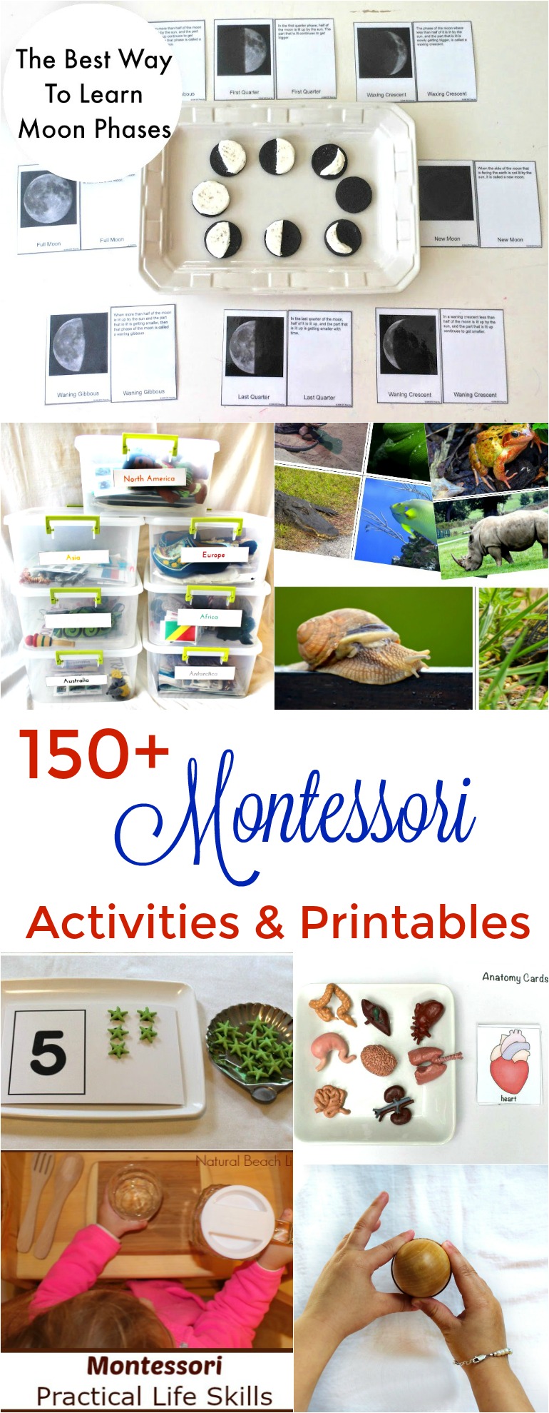Montessori Sensorial Materials Every Child Will Love, Perfect Montessori Activities and Montessori Materials for Preschool, Sensory, Smelling bottles, Color