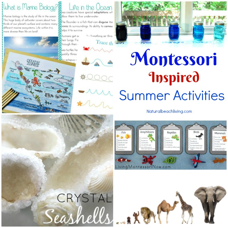 12+ Montessori June Preschool Themes Perfect for Summer