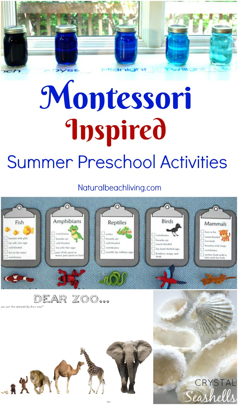 Montessori June Preschool Themes, Activities and Printables, Ocean, Under the Sea, Zoo Themes, Montessori themes, Summer, Sea Shells, Science and more.