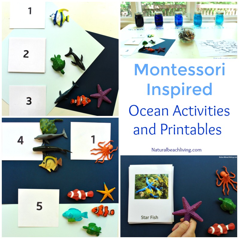 12 More Months of The Best Montessori Activities, Practical life, Geography, Sensorial, Preschool Themes, Printables, Montessori gifts, Science and more