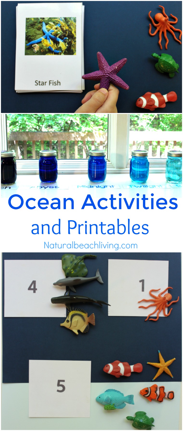 The Best Ocean Animals Preschool Activities and Printables