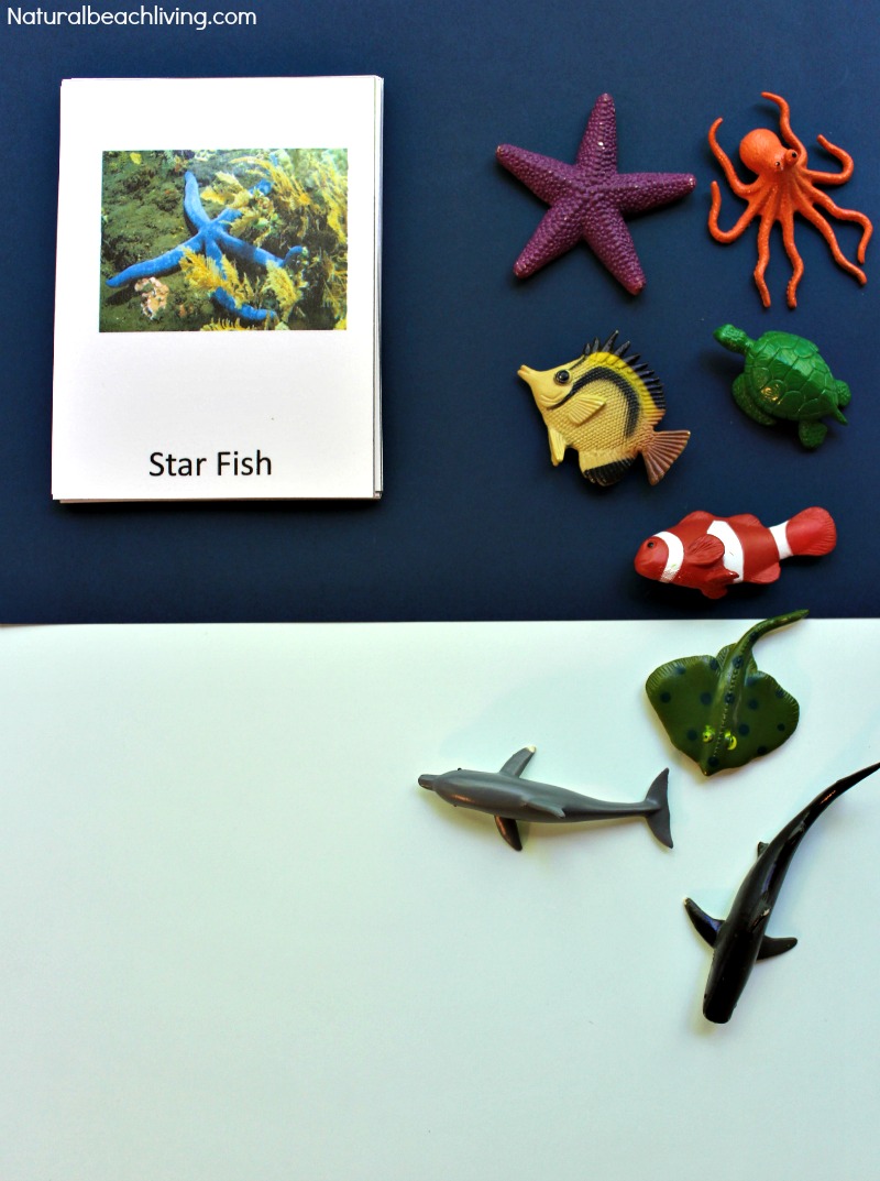 montessori-theme-ocean-preschool-activities-printables-natural
