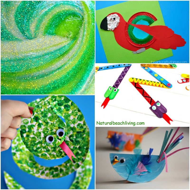 10+ Amazing Rainforest Crafts Kids Can Make