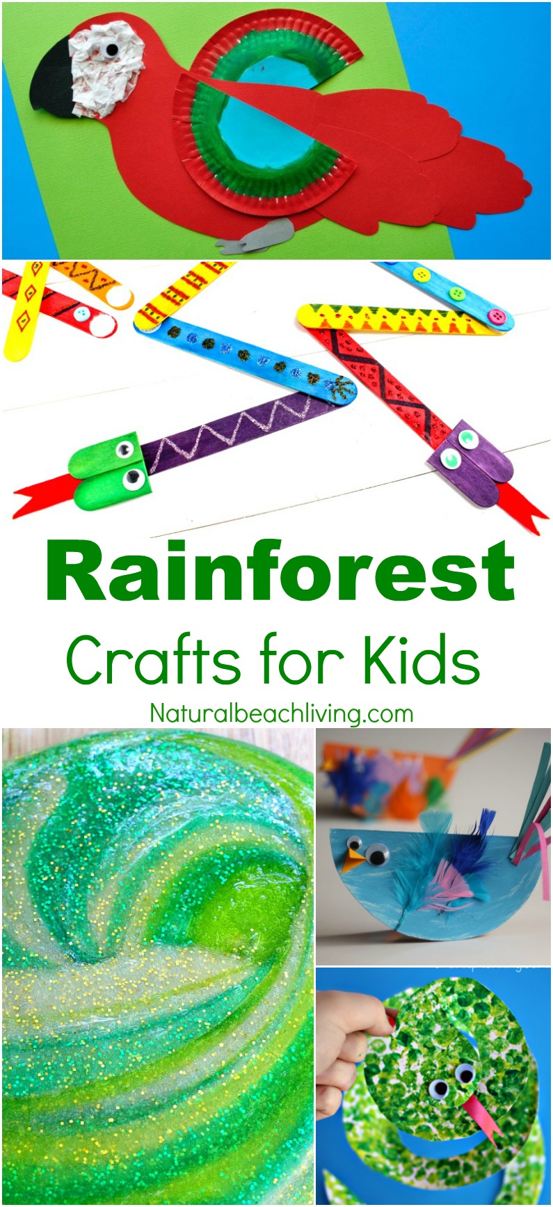 10+ Amazing Rainforest Crafts Kids Can Make, Rainforest and Jungle Slime, Paper Plate Monkey Craft, Rain Stick, Rainforest Preschool Theme, Crafts for Kids