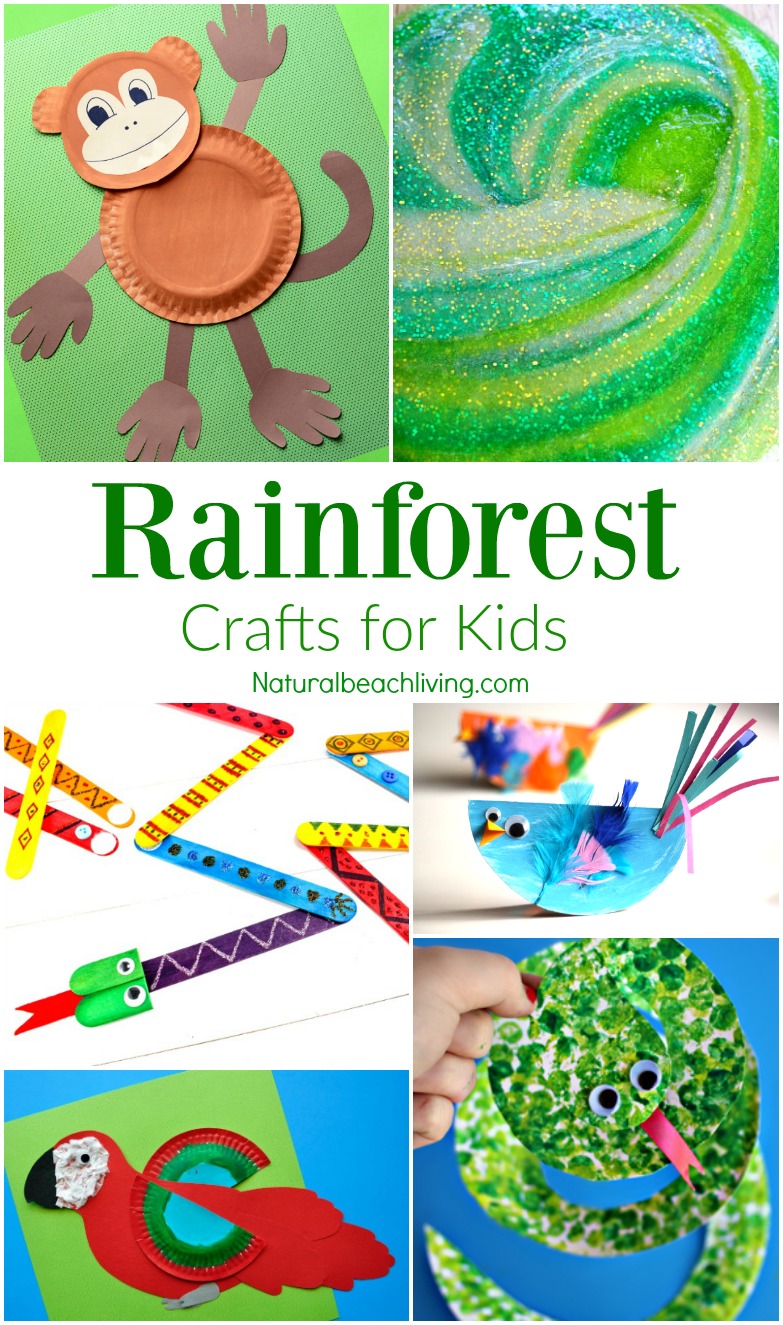The Ultimate Rainforest Activities Kids Theme, Awesome Unit Study, Rainforest crafts, Rainforest printables, DIY Terrarium, learn animal habitats & More 
