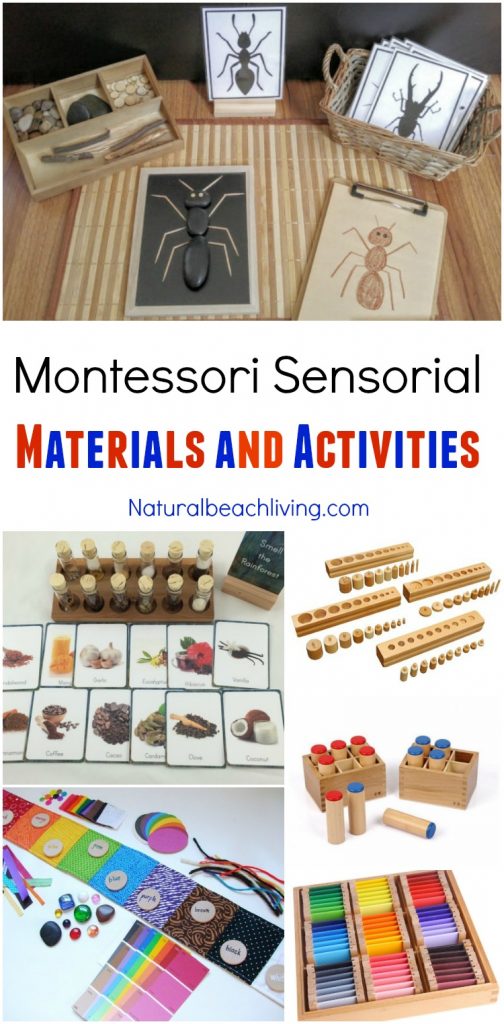 30+ Amazing Montessori Fall Activities for Preschool and Kindergarten, Montessori Sensorial, Montessori Books, Montessori Printables, Montessori Themes