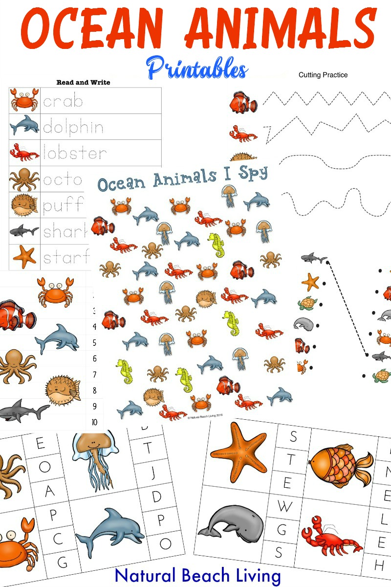 The Best Ocean Animals Preschool Activities, Free Printables, Perfect Preschool Ideas for Ocean or Under the Sea theme, I SPY Counting & Alphabet Clip Cards
