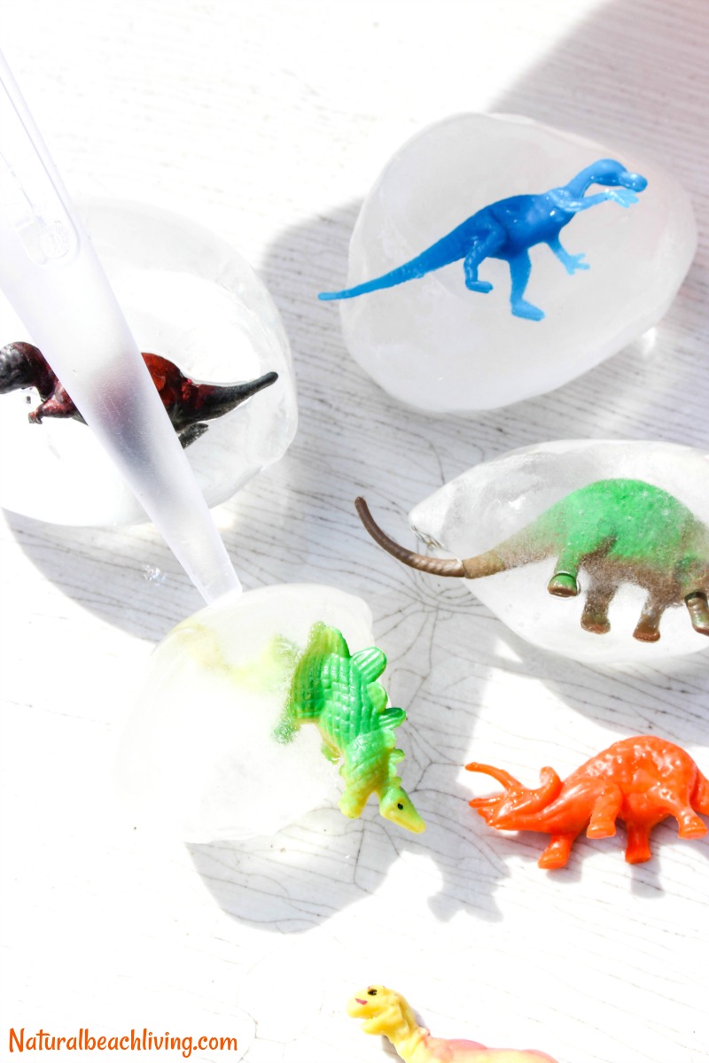 How to Make Frozen Dinosaur Eggs Kids Love, Excavating Dinosaurs, Dinosaur Activity, Dinosaur Theme, Dinosaur Science, Frozen Sensory Play, Summer ideas