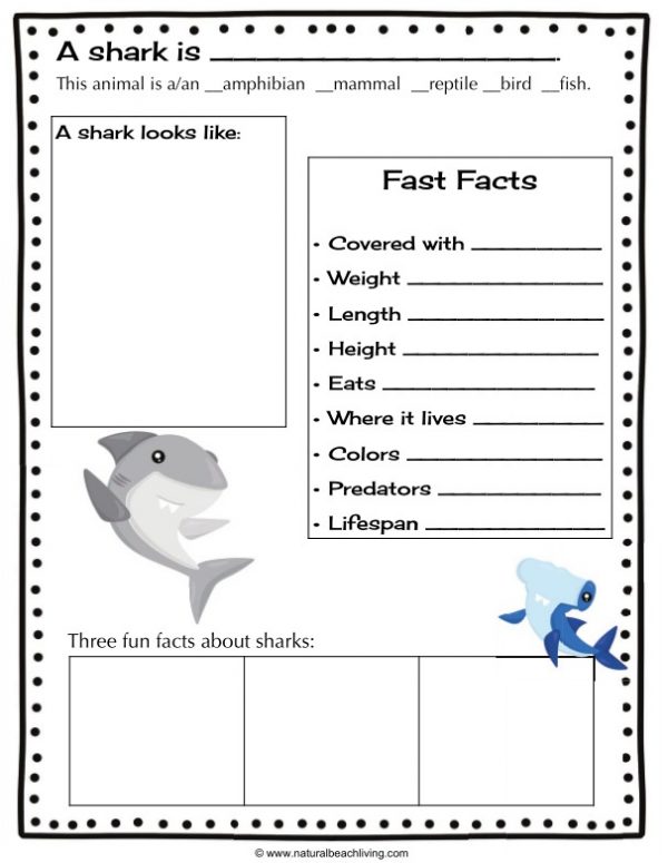 The Best Shark Printable Activities for Kids Shark Lesson Plans