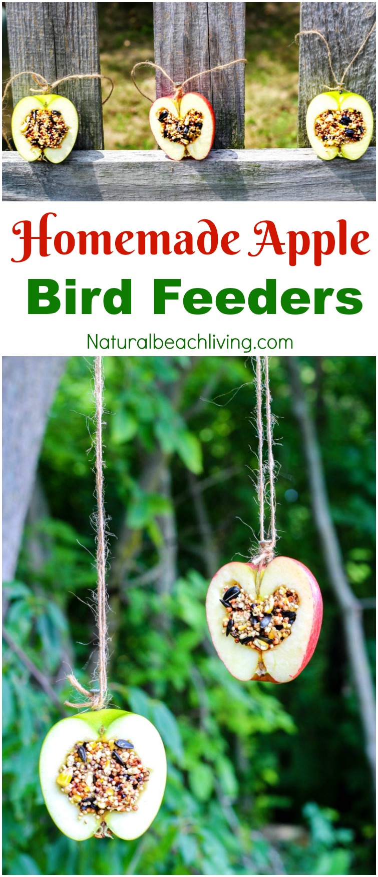 How to Make Apple Birdseed Homemade Bird Feeders, Apple Bird Feeders, Easy Homemade Bird Feeders, Great Fall Craft for Kids, Homemade Bird Treats, Apple Activities