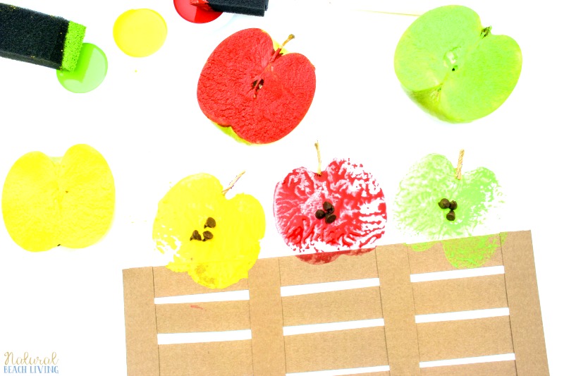 How to Make The Most Adorable Apple Stamping Craft with Kids, Apple Stamping, Apple Activities, Apple Crafts, Apple theme for preschoolers, Fall Crafts, Art
