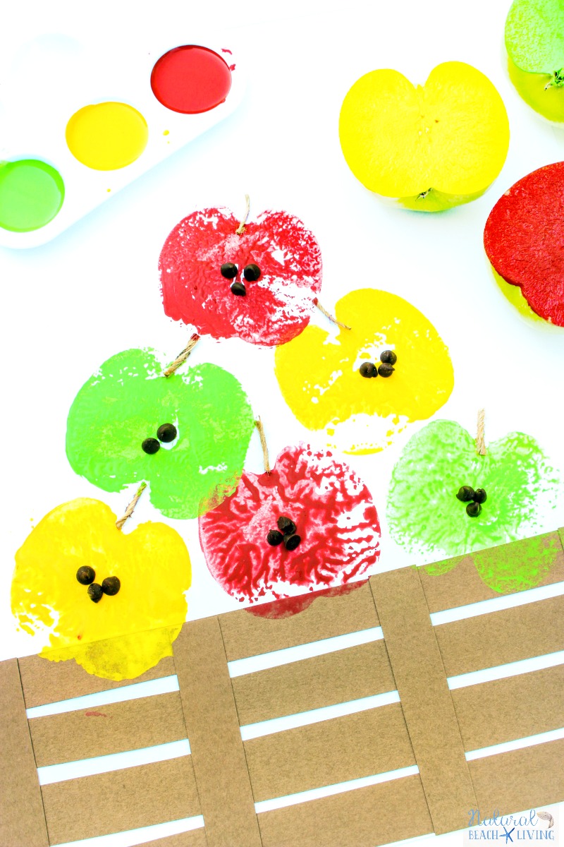 100-preschool-theme-apple-activities-and-lesson-plans-natural-beach