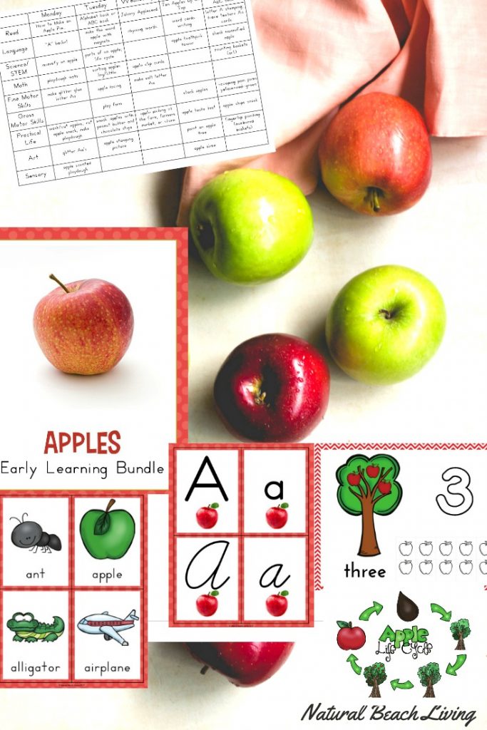 You'll Love These Preschool Apple Themed Math Activities and Free Printable Apple Counting Cards for Fall. Math Activities for Preschool and kindergarten with Apple Books for Kids and Math Toys for hands on learning. Fall Preschool Activities are the best! 