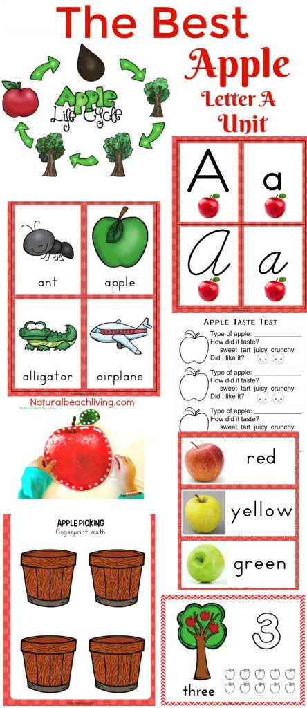 The Best Kindergarten and Preschool Apple Theme Unit, Fall Preschool themes, Preschool Lesson Plans Apples, Apple Activities Preschool, Apple Art, STEM,