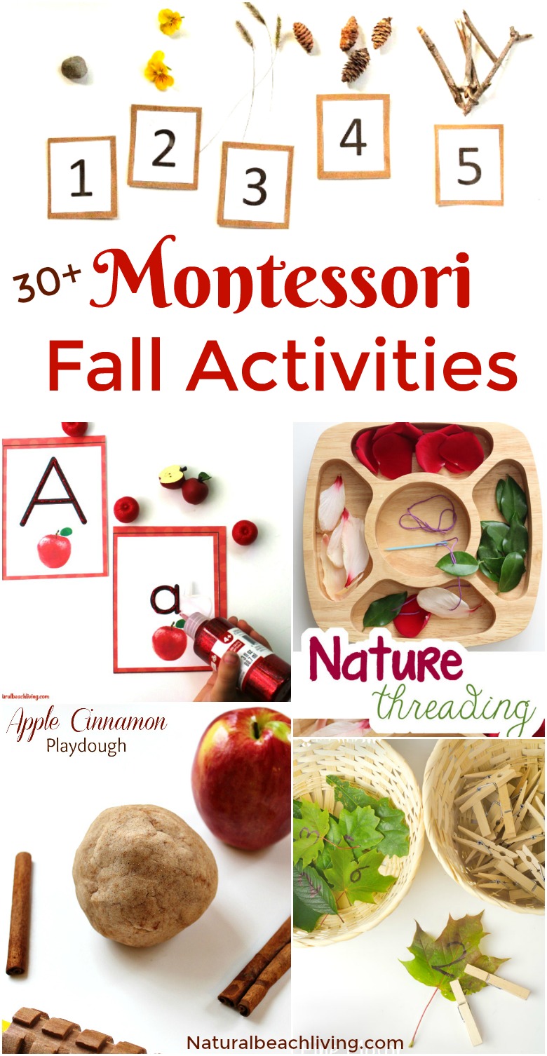 30+ Amazing Montessori Fall Activities for Preschool and Kindergarten