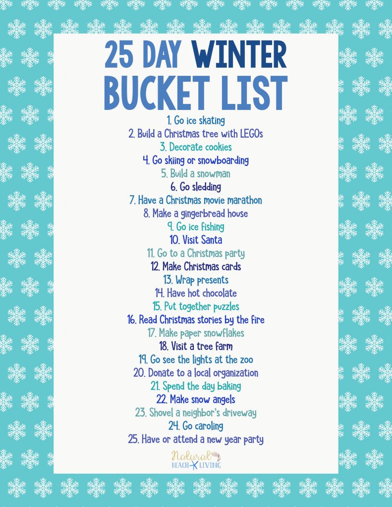 25 winter bucket list ideas for family fun - natural beach living