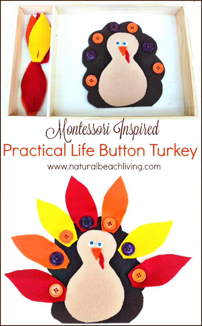 Montessori Practical Life Button Turkey for Preschoolers