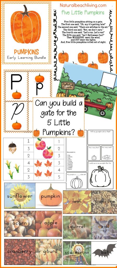 pumpkin preschool theme, pumpkin kindergarten themes, Homeschool curriculum, Lesson plans for Fall Themes, Alphabet, hands on activities, printables, preschool pumpkin theme