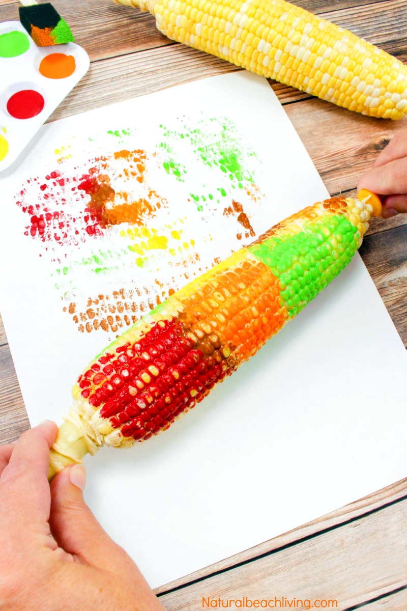Corn on the Cob Craft Painting for Kids – Thanksgiving Arts and Crafts