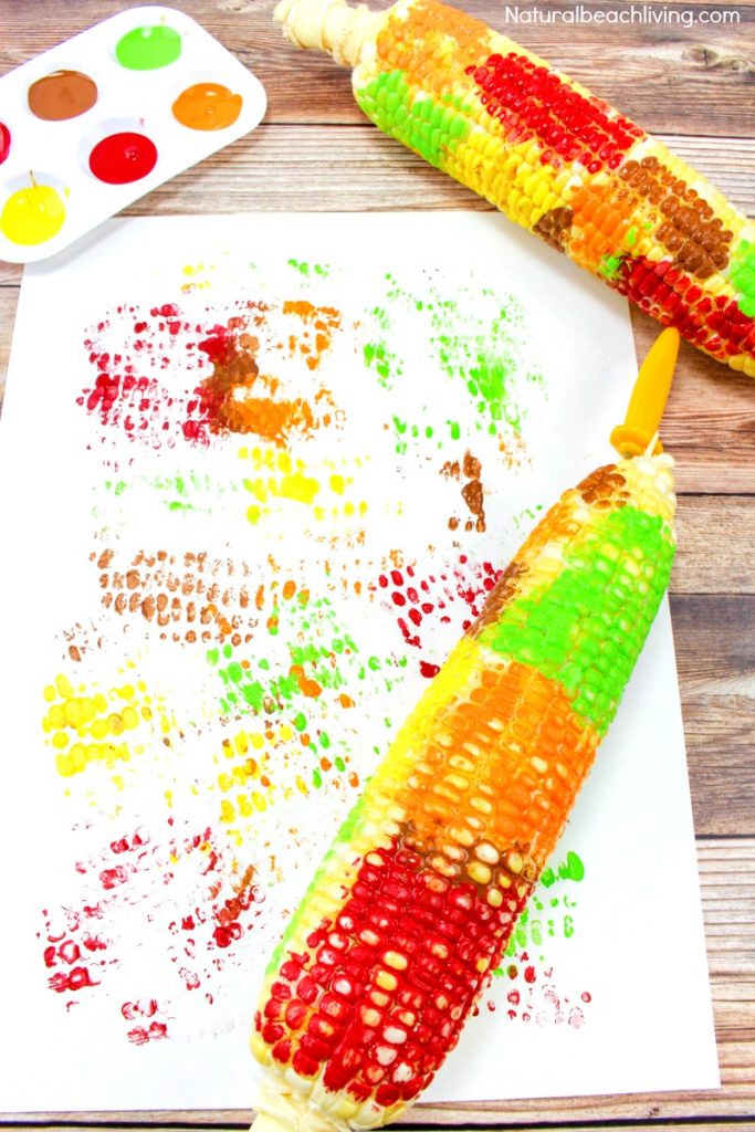 Easy Corn Cob Craft Painting for Kids, This fun Thanksgiving craft will keep your little ones occupied during the Thanksgiving dinner or before the holiday. Here is a great Fall and Thanksgiving corn craft and painting for toddlers, preschoolers, and kids of all ages. They can create lovely textured art with corn on the cob. Corn Crafts for Preschool, Corn Cob Painting, and Easy Fall Craft Ideas for preschoolers, Farm Preschool Theme, Easy Thanksgiving Crafts Kids Love