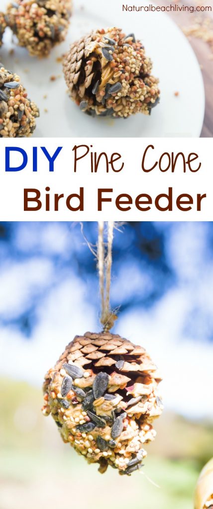 How to Make The Best Birdseed Ornaments, Homemade Birdseed treats make the perfect family activity, DIY Bird feeders are a great craft for kids, Birdseed Ornaments Recipe, Pine Cone Bird Feeder, #birdseedornaments #Birdtreats #homemadebirdfeeders #birds