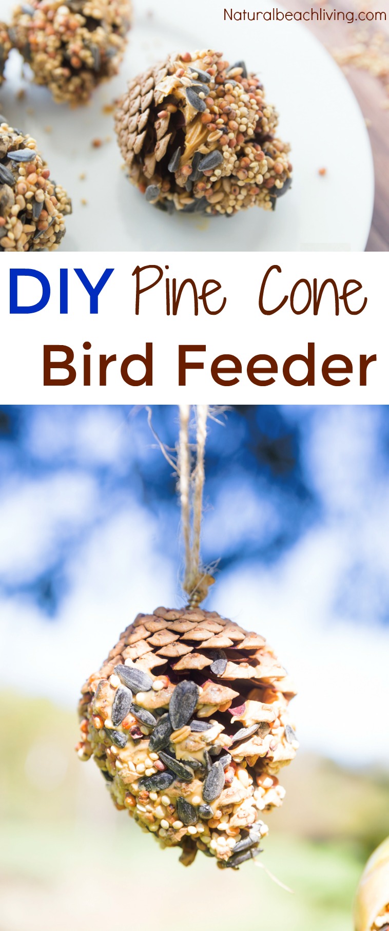 20+ Homemade Bird Feeders, Bird Feeders for Kids, These Homemade Bird Feeders and birdseed ornaments are easy to make and they look so nice hanging on the trees. Your kids will love making Apple Bird Feeders, Pine Cone bird feeder and Bird Seed Ornaments  