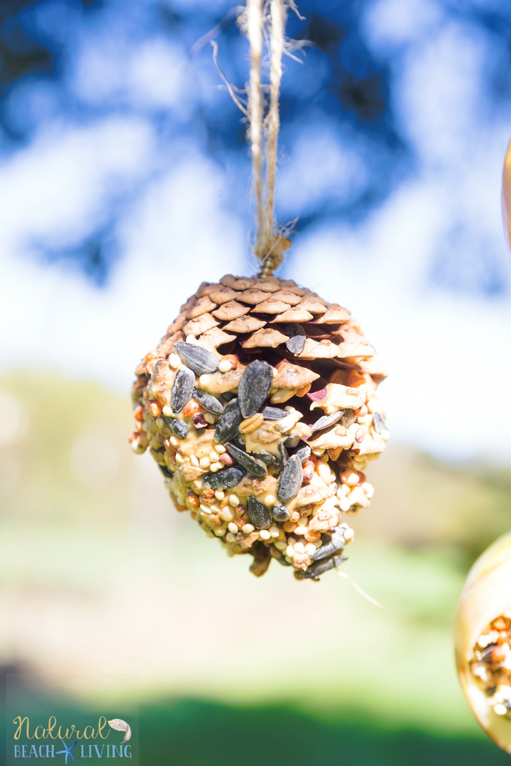 How To Make The Best Pine Cone Bird Feeder Natural Beach Living   Pine Cone Bird Feeder Pin3 