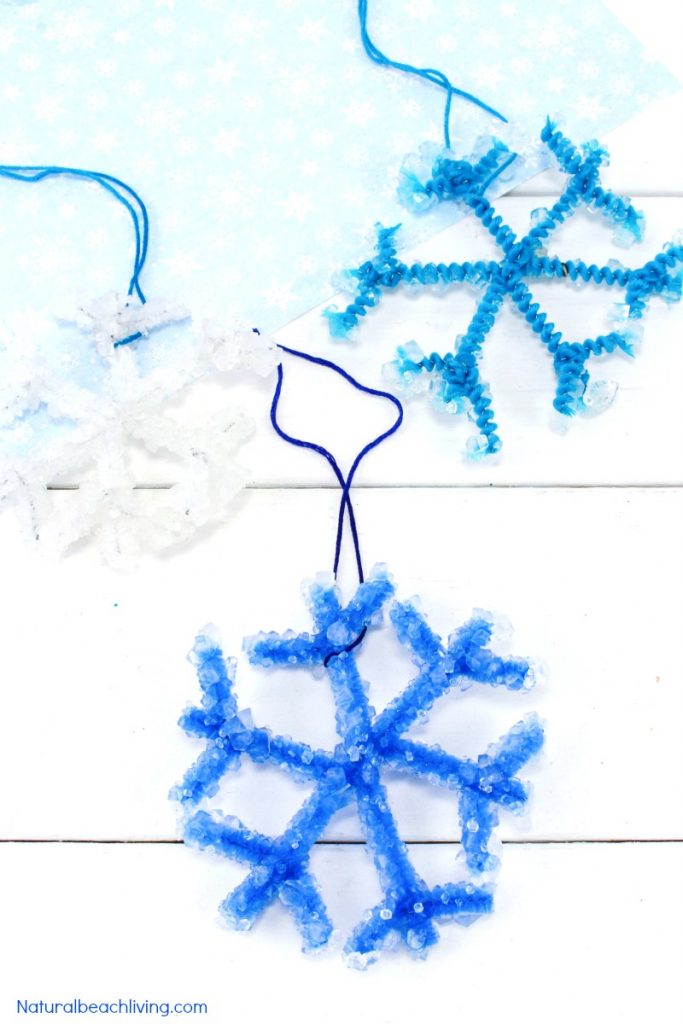 Make The Best Crystal Snowflake Ornaments – Science for Kids, Five in a row, Winter activities, Winter Science, STEM