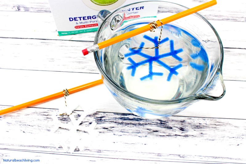 Make The Best Crystal Snowflake Ornaments, Borax Snowflake Crystals, Winter Science Experiments for Kids, Snowflake Theme, How to Make Snowflakes, Borax Crystal Snowflakes, Snowflake Crystals, #Science #Boraxcrystals #crystalsnowflakes #winterscience