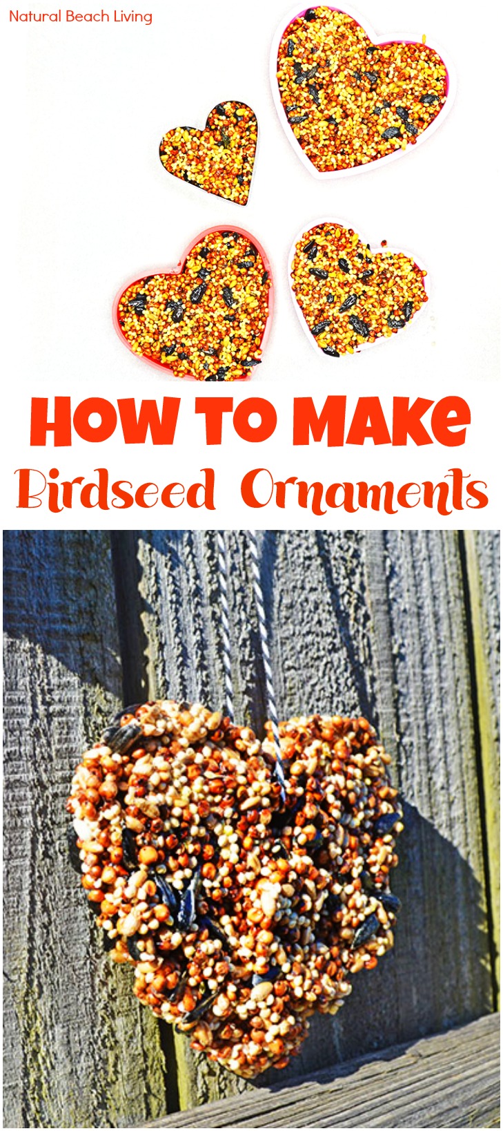 Easy Homemade Bird Seed Ornaments Recipe