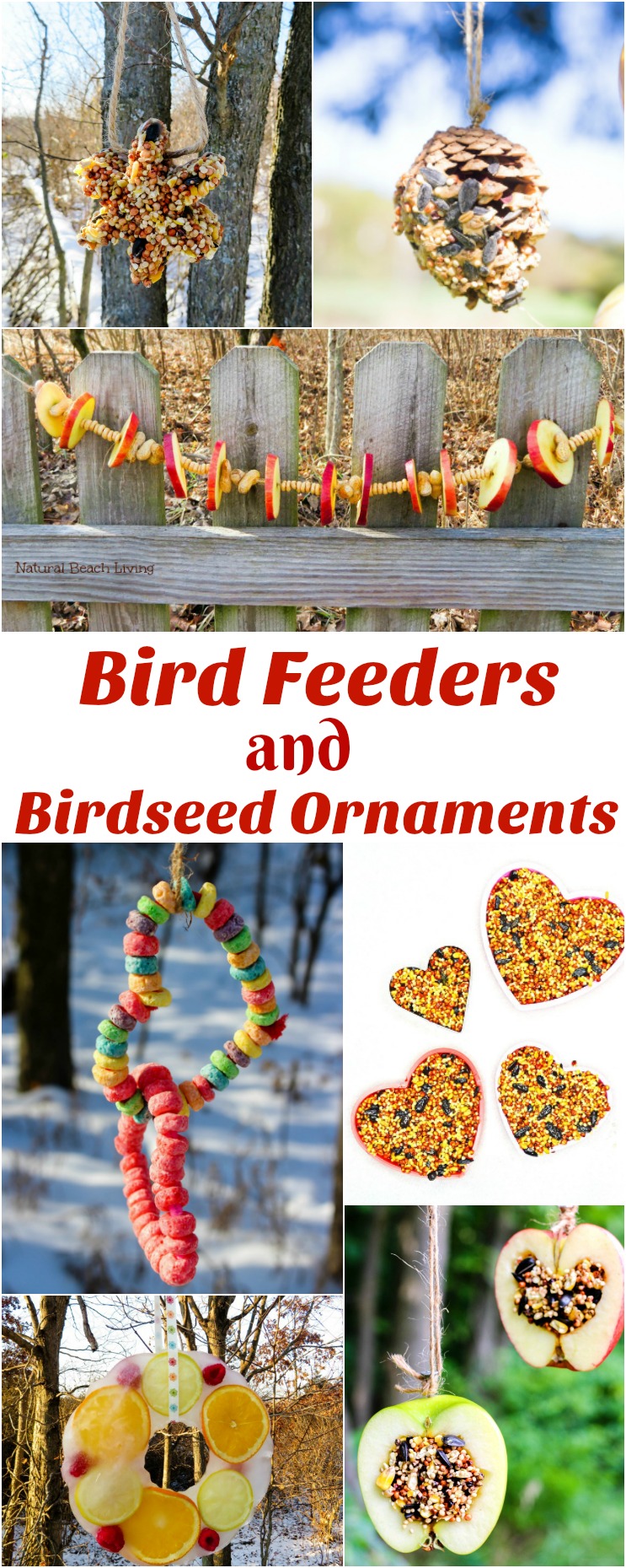 20+ Homemade Bird Feeders, Bird Feeders for Kids, These Homemade Bird Feeders and birdseed ornaments are easy to make and they look so nice hanging on the trees. Your kids will love making Apple Bird Feeders, Pine Cone bird feeder and Bird Seed Ornaments 