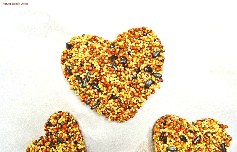 Easy Homemade Bird Seed Ornaments Recipe, These DIY Birdseed Ornaments are a perfect nature project to do with kids, bird seed ornaments with gelatin, Backyard Birds love Homemade Bird Seed Ornaments, how to make edible bird seed ornaments, Bird Treat Craft, Valentine Cookie Cutter Bird Seed Ornament, #Bird #birdfeeder #birdseedornaments #natureactivities