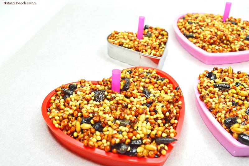 Easy Homemade Bird Seed Ornaments Recipe, These DIY Birdseed Ornaments are a perfect nature project to do with kids, bird seed ornaments with gelatin, Backyard Birds love Homemade Bird Seed Ornaments, how to make edible bird seed ornaments, Bird Treat Craft, Valentine Cookie Cutter Bird Seed Ornament, #Bird #birdfeeder #birdseedornaments #natureactivities