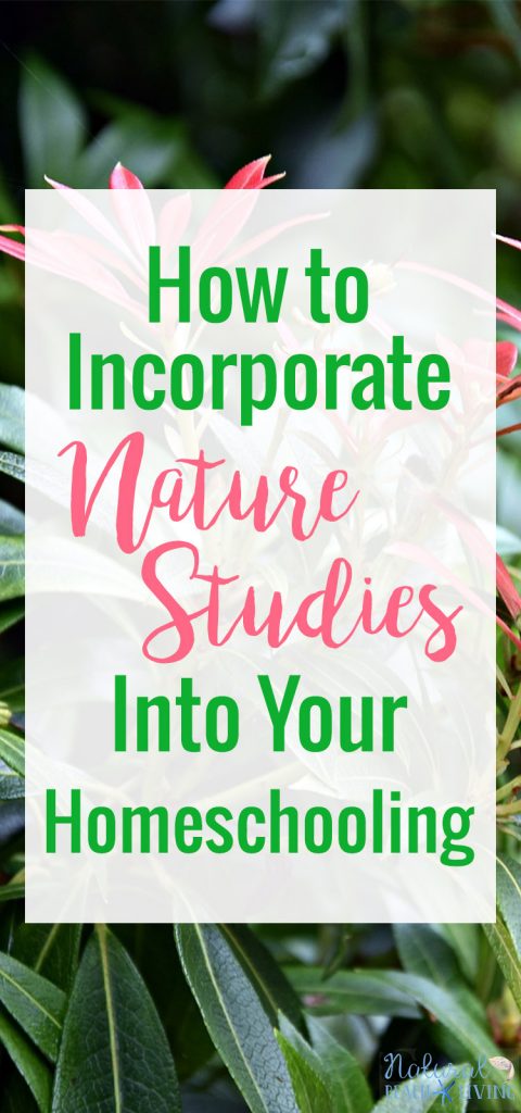 How to Incorporate Nature Studies