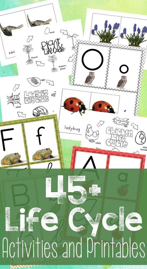 Bug and Insect Crafts for Kids, These Bug Activities for Preschool and Kindergarten are perfect to add to a preschool bug theme. You'll find fun Insect activities and crafts for kids, Great ideas for a preschool insect theme, Butterfly crafts, ladybug crafts, ants, dragonfly and more