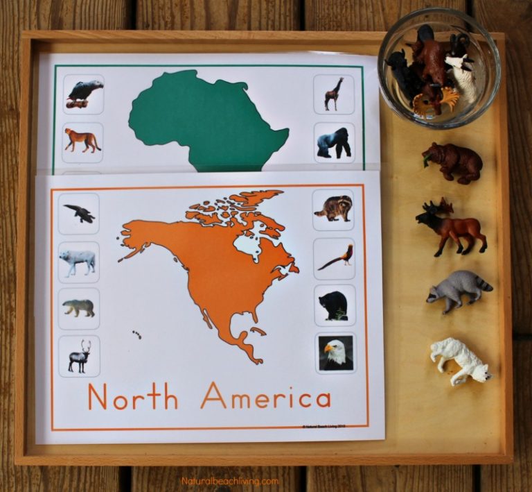 Montessori Animals and Continents Printables and Activities - Natural