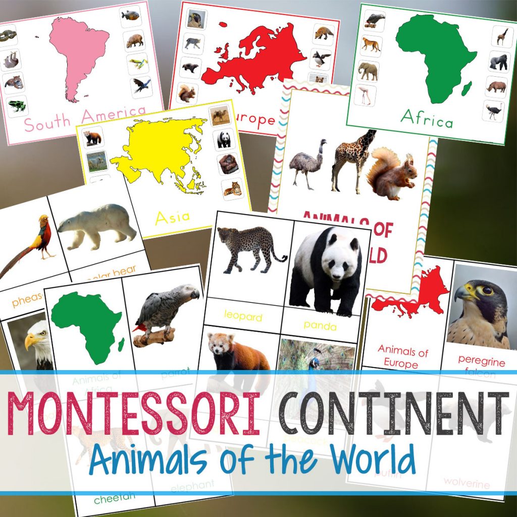 Montessori Animals and Continents Printables, Great Hands-on activities for learning all about animals and continents. Animals continents worksheet, animals and their continents activities, Montessori animals of seven continents, animal continents activity sheets, what animal can be found on every continent, Montessori continents printables 