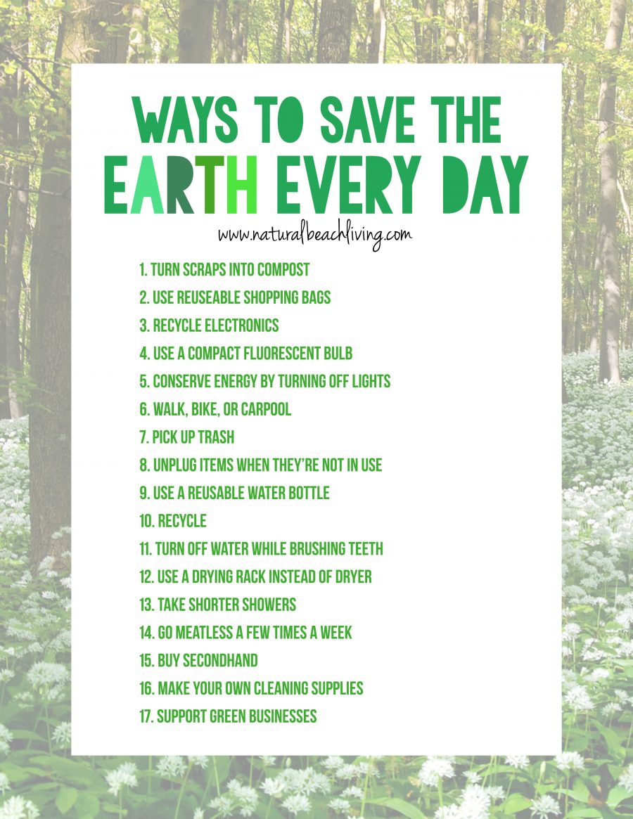 20+ Easy Ways to Save the Earth Every Day