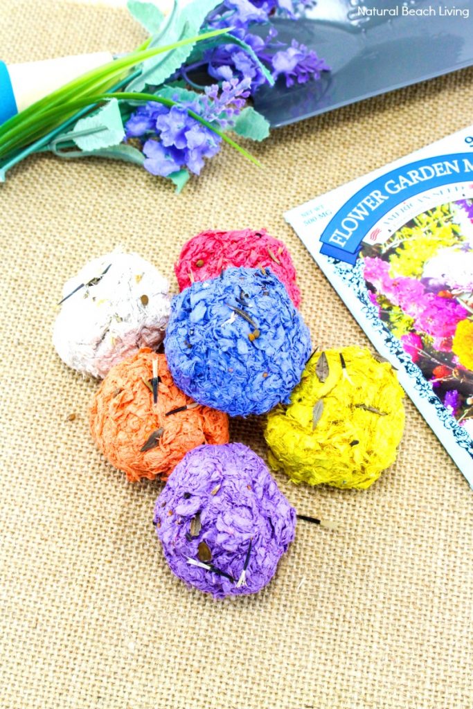 How to Make Seed Bombs, Seed Bombs Recipe, Flower Seed Bombs, Seed bombs are perfect to make for spring! You can use recycled paper which is great for the Earth and helping your environment. Gardening with Kids Ideas, children love to make DIY seed bombs, Nature Activity, Make Garden Seed Bombs with Kids, Earth Day Craft, Flower Activities, Nature Craft 