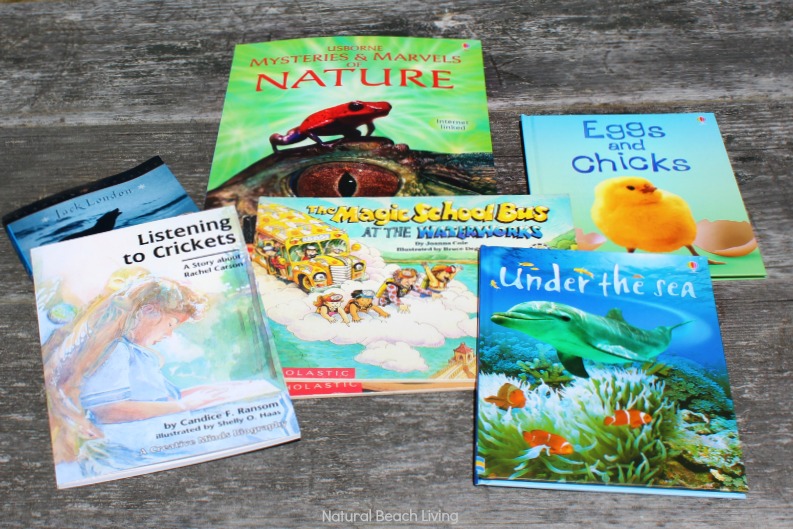 5 Easy Ways to Incorporate Nature into your Homeschool Day, Nature Studies, Nature Study Homeschool Ideas for Kids of all ages, Science Books and Activities to use for Natural Learning and Nature Studies, Nature Table for Kids, Sonlight Homeschool, Sonlight Homeschool Curriculum, Nature Theme and Outdoor Activities 