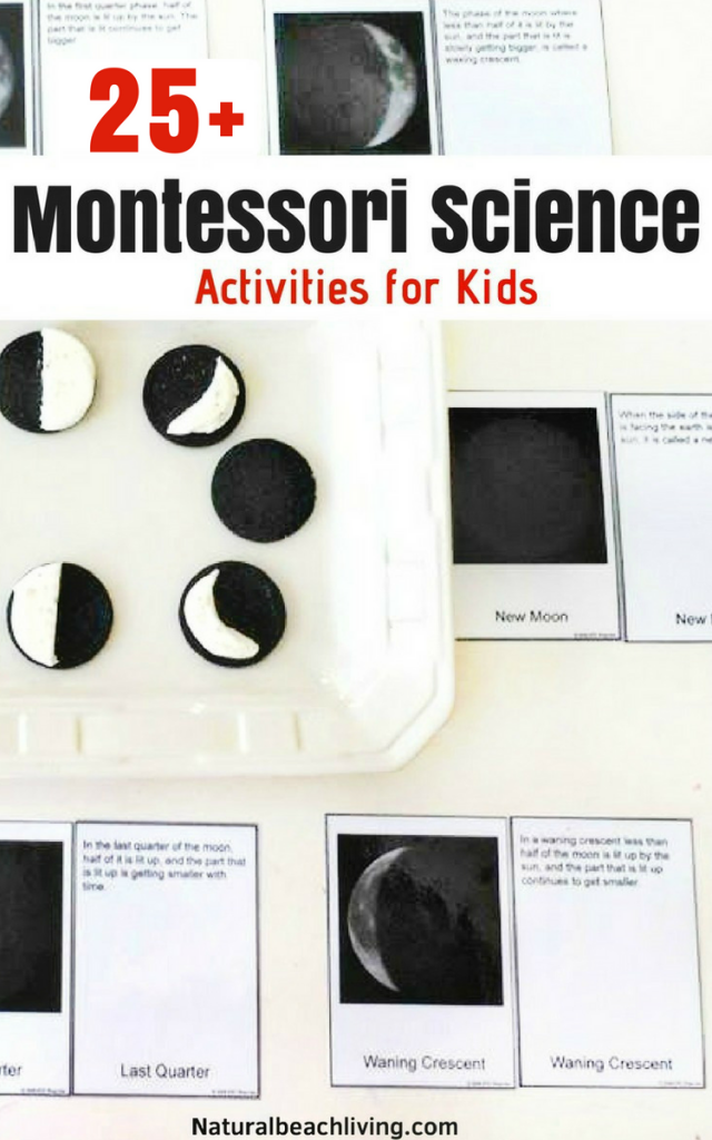 Fun Montessori science activities for seasons, themes, and a variety of hands on activities. Preschool Science experiments, Kindergarten Science Activities, Everything you need to start Montessori science in your home or classroom, Montessori science curriculum for 3-6 year olds, Montessori science experiments for 6-9 year olds , Life Cycles Activities for Kids, iAnimal Activities for Kids, Montessori toddler activities 