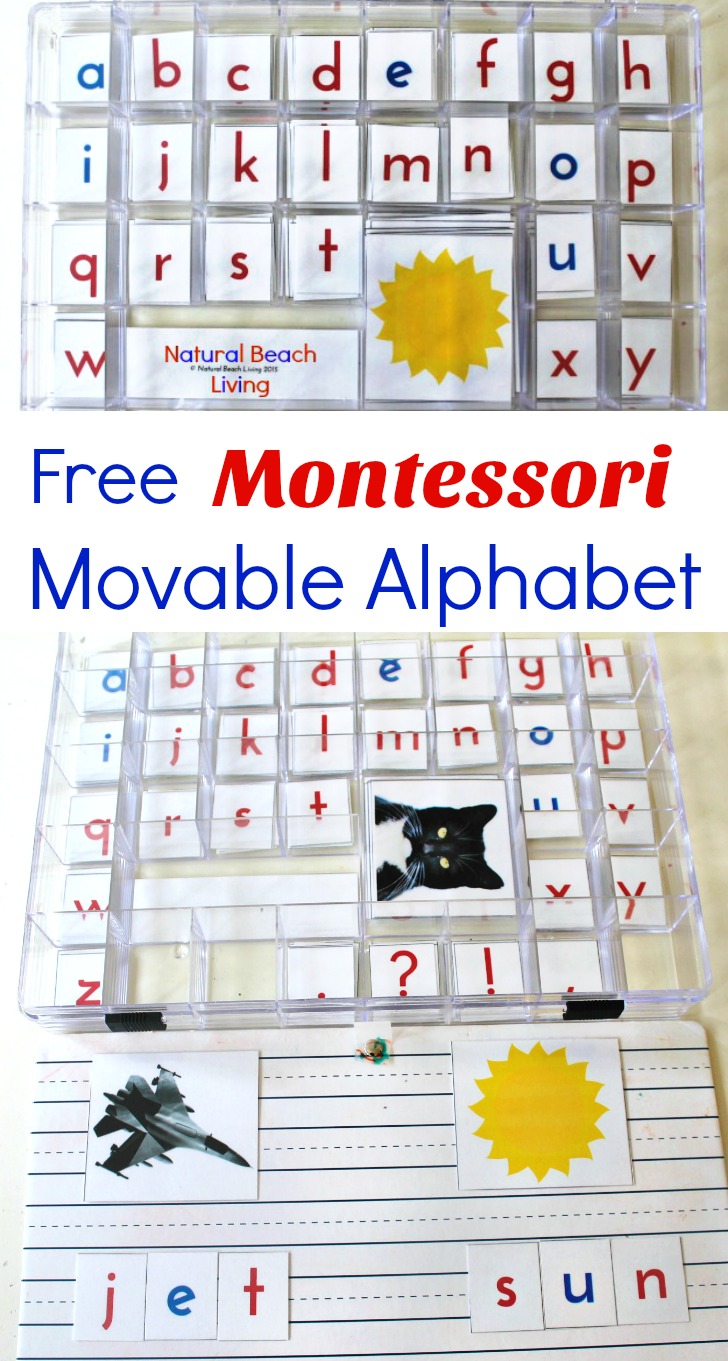 DIY Montessori Movable Alphabet (Free Printables)