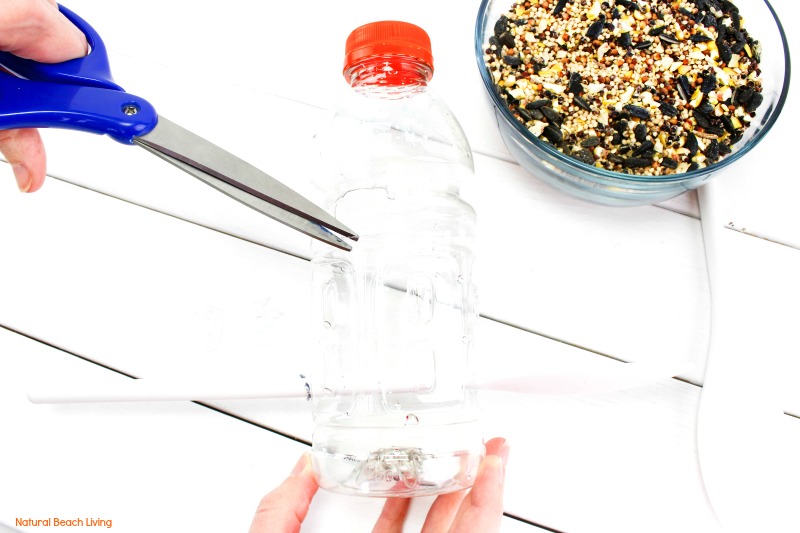 How to Make Bird Feeder Out of Plastic Bottle, Here you will find The Best Homemade Bird Feeders including Plastic Bottle Bird Feeder, recycled bird feeders, Bird Seed Ornaments, Apple Bird Feeder, Pine Cone Bird Feeder, Kid Made Bird Feeders backyard bird printables