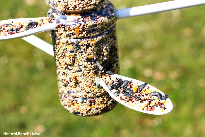 How to Make Bird Feeder Out of Plastic Bottle, Here you will find The Best Homemade Bird Feeders including Plastic Bottle Bird Feeder, recycled bird feeders, Bird Seed Ornaments, Apple Bird Feeder, Pine Cone Bird Feeder, Kid Made Bird Feeders backyard bird printables