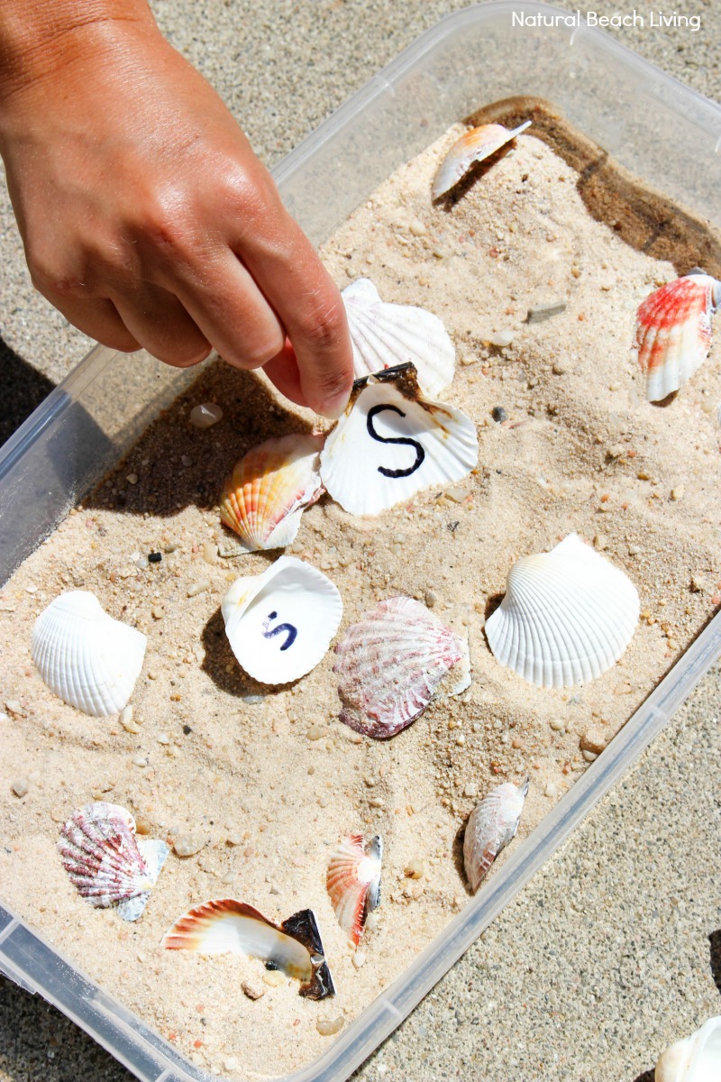 Letter Matching Seashell Sensory Bin for Preschool