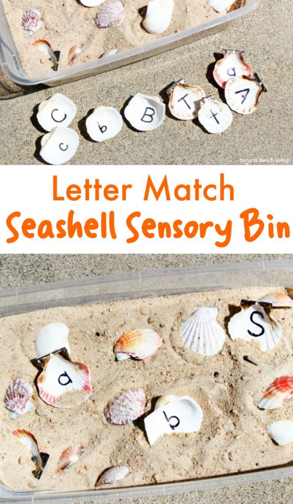 35 best ocean activities and ocean crafts for preschool