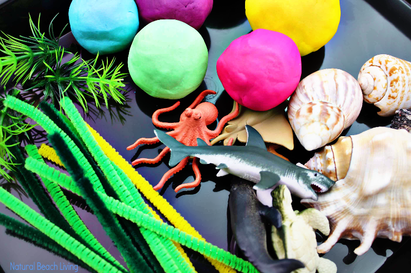 Coral Reef Activities for Preschoolers and Kindergarten with free Ocean Theme Printables, Coral Reef Craft Ideas and Ocean Theme Activities for Kids, Plus a Hands on learning Ocean Playdough Activity 