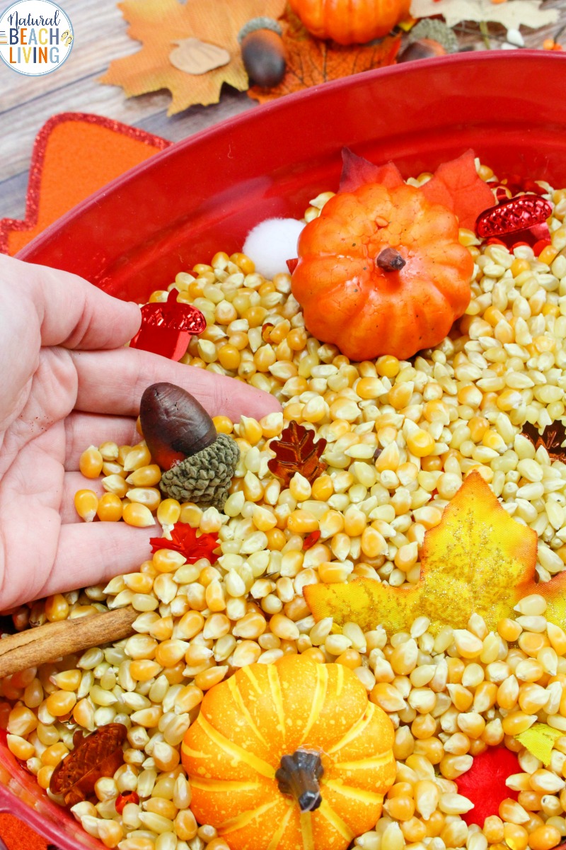 The Best Montessori Pumpkin Washing Station - Pumpkin Sensory Bin for